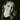 Profile Image for Elizabeth Dodge
