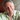 Profile Image for Michael Nicosia