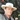 Profile Image for Michael Monterey