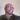 Profile Image for Samuel Harris