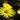 Profile Image for Raman Aurora