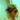 Profile Image for Andrea Tzvetkov