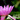 Profile Image for SUSAN BLACK