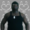 Rasheed
